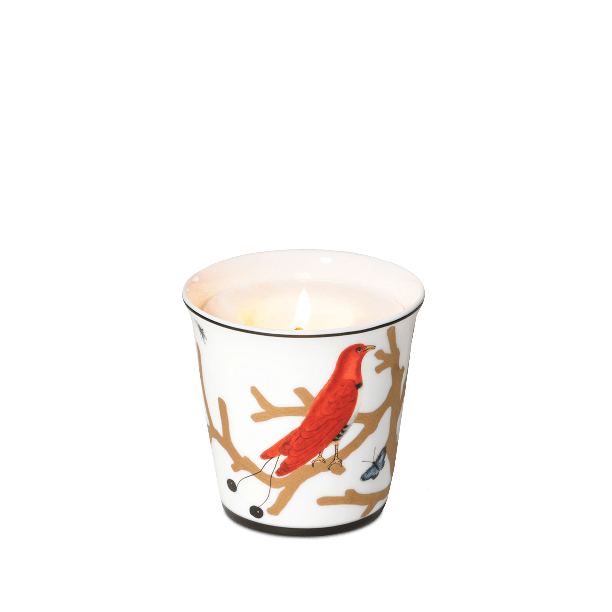 Vela Aux Oiseaux Bernardaud 200gr.