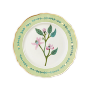 Prato Raso Botanik Verde.