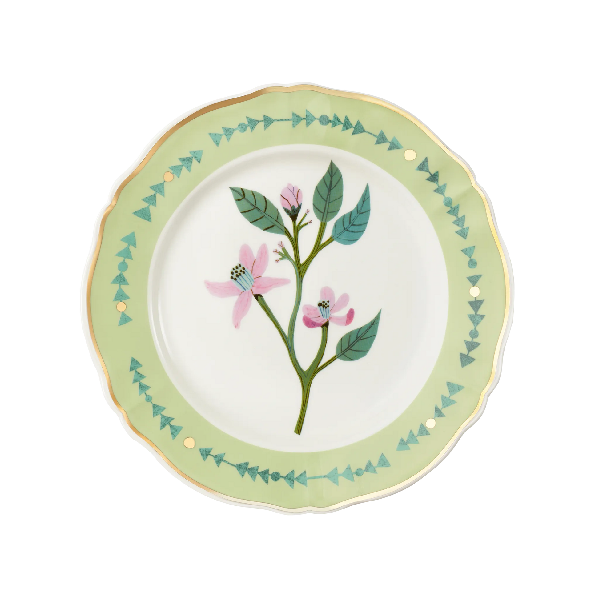 Prato Raso Botanik Verde.