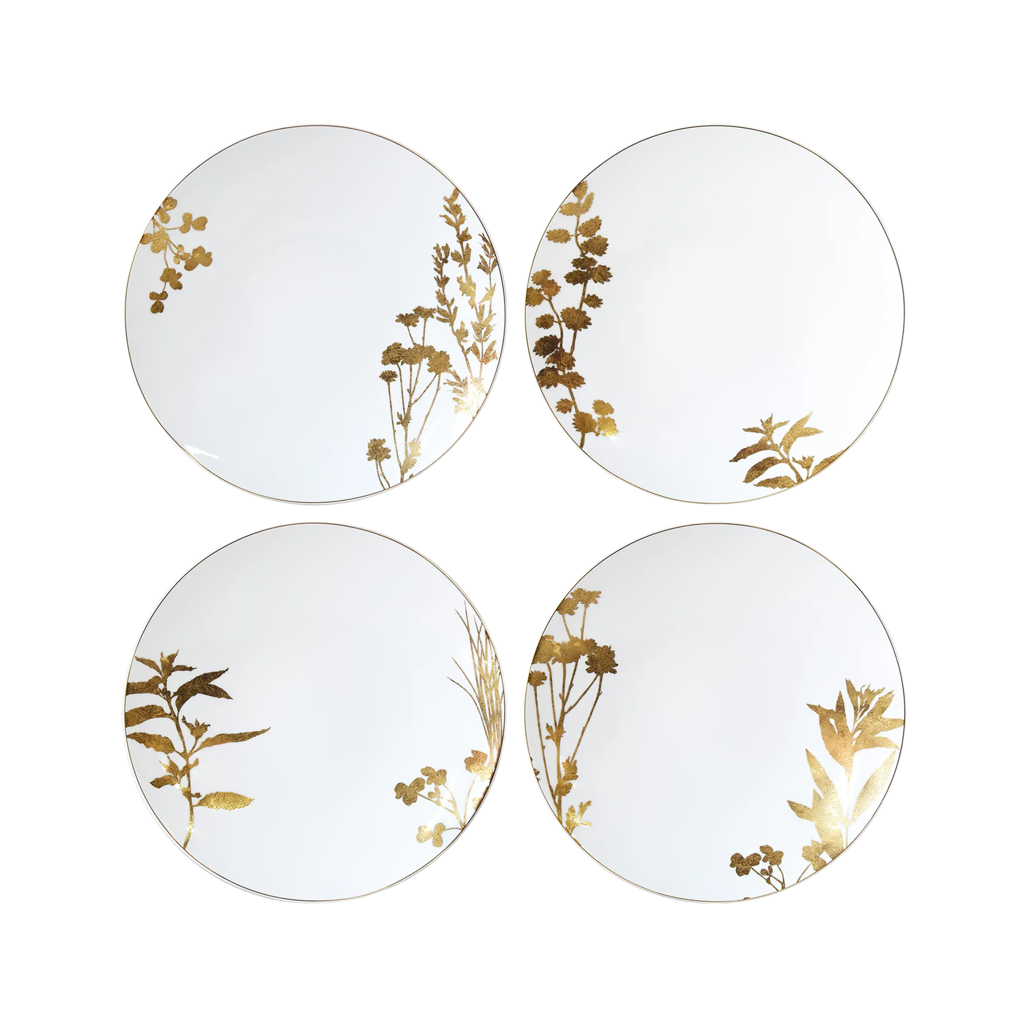 Set Prato Raso Vegetal Or.