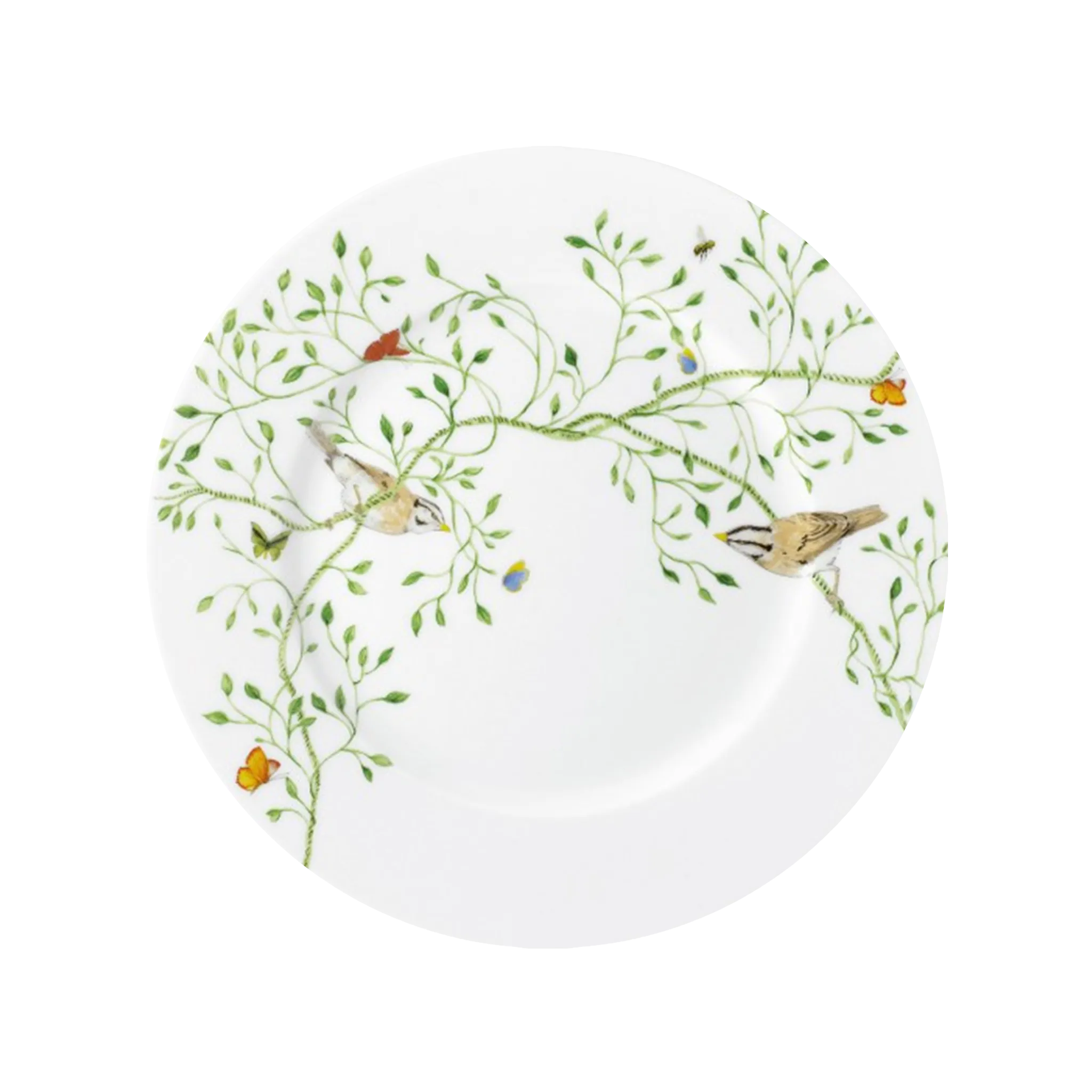 Prato Sobremesa Histoire Naturelle.