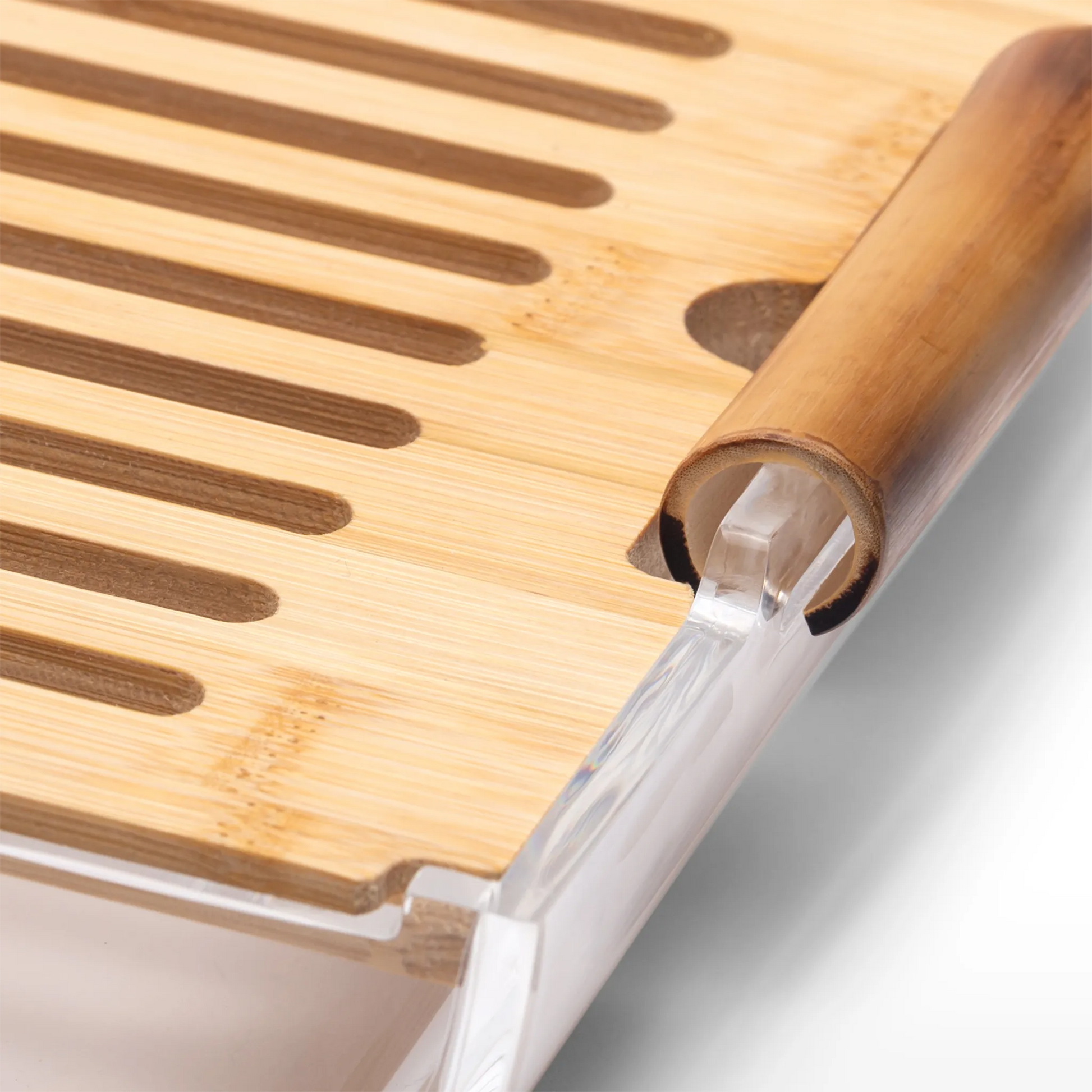 Detalhe da Migalheira Bambu.