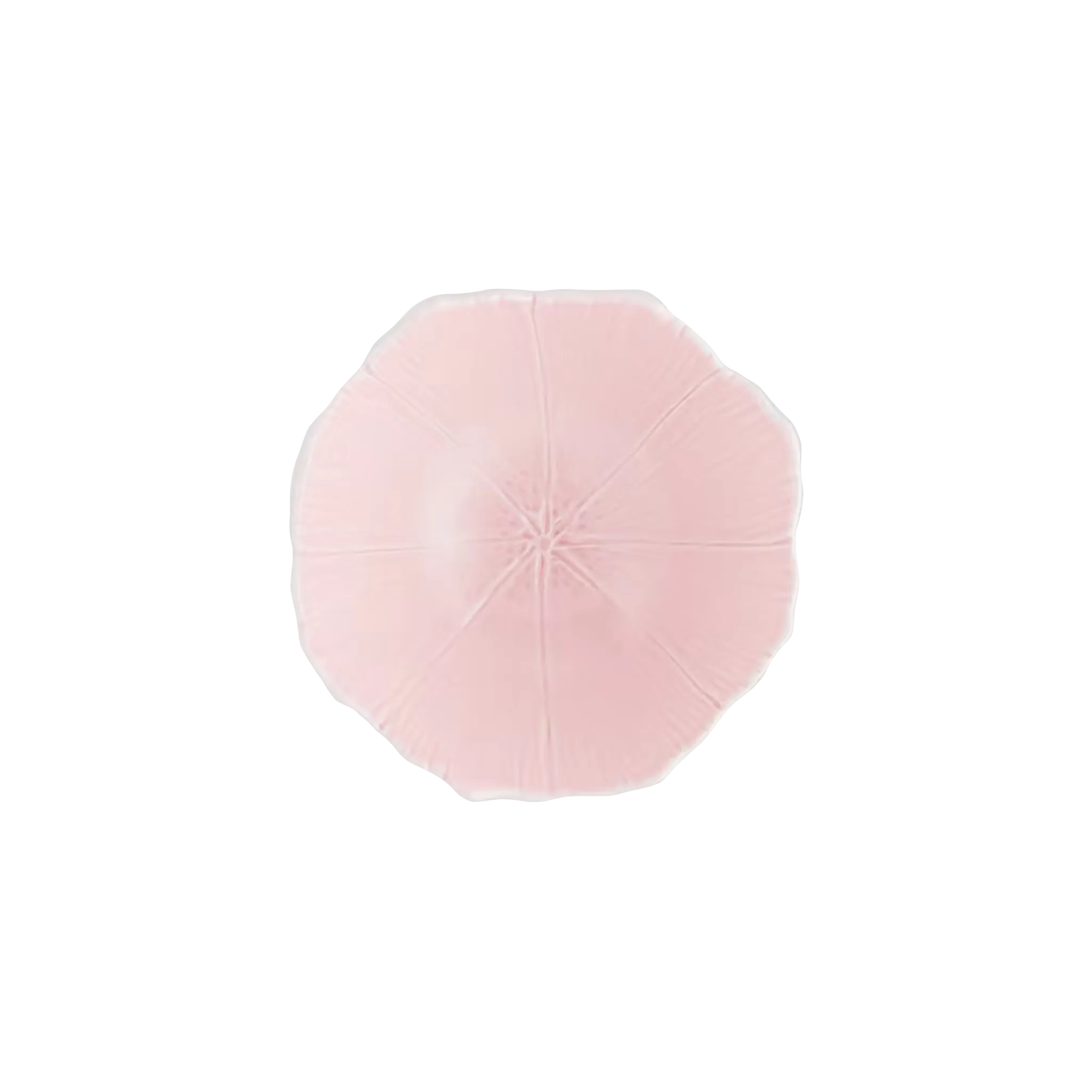 Set 2 Bowls Blossom Rosa Aquazzura.