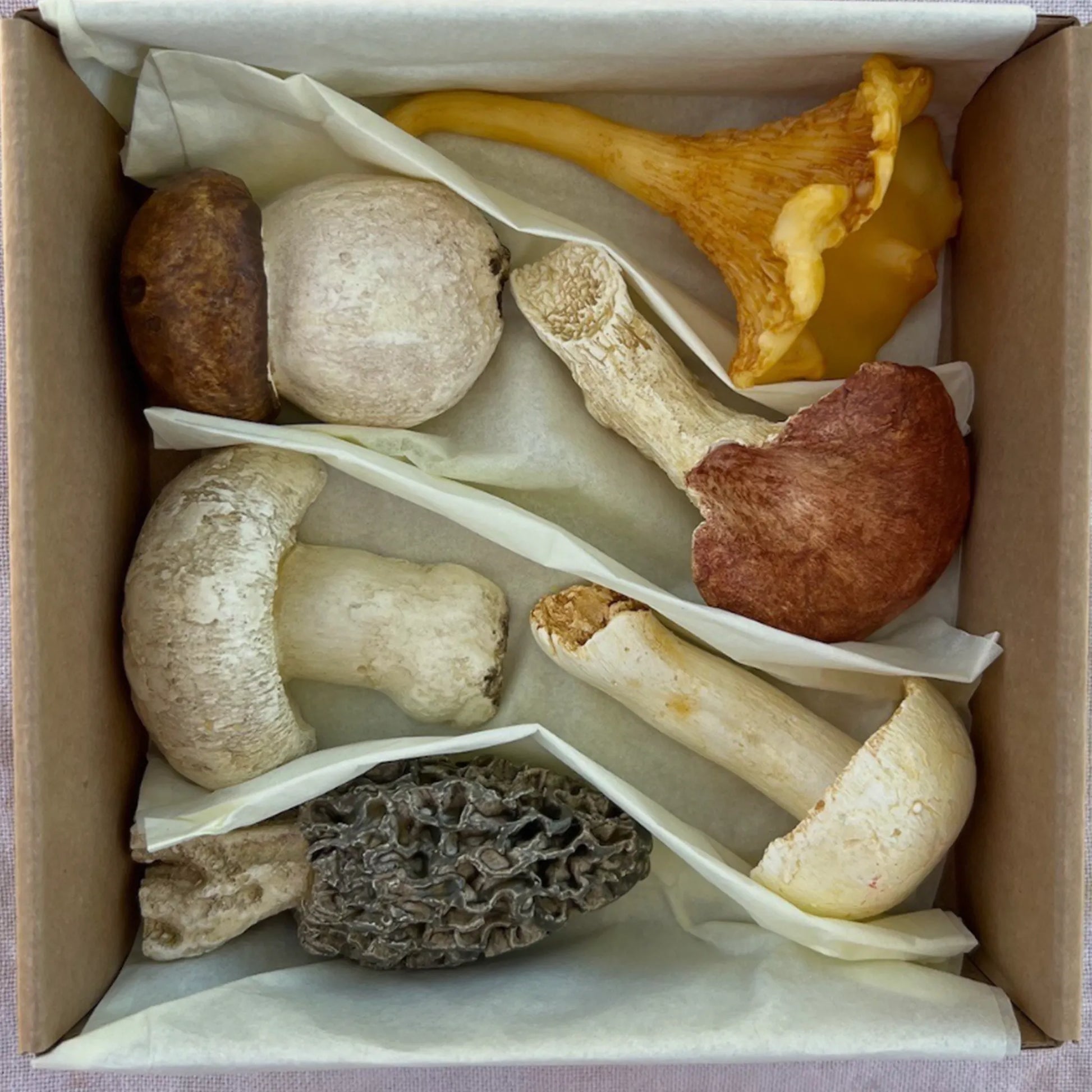 Set Descanso de Talher Cogumelo Colorido.