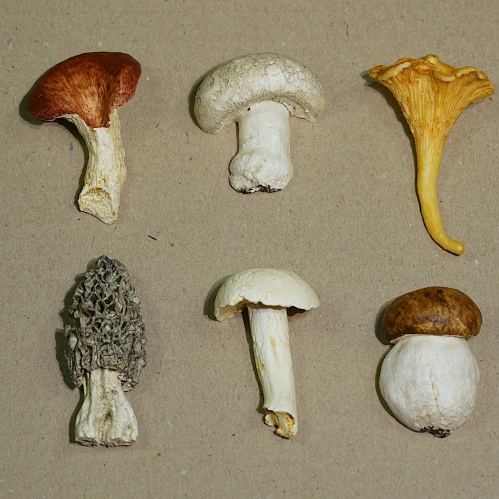 Set Descanso de Talher Cogumelo Colorido.