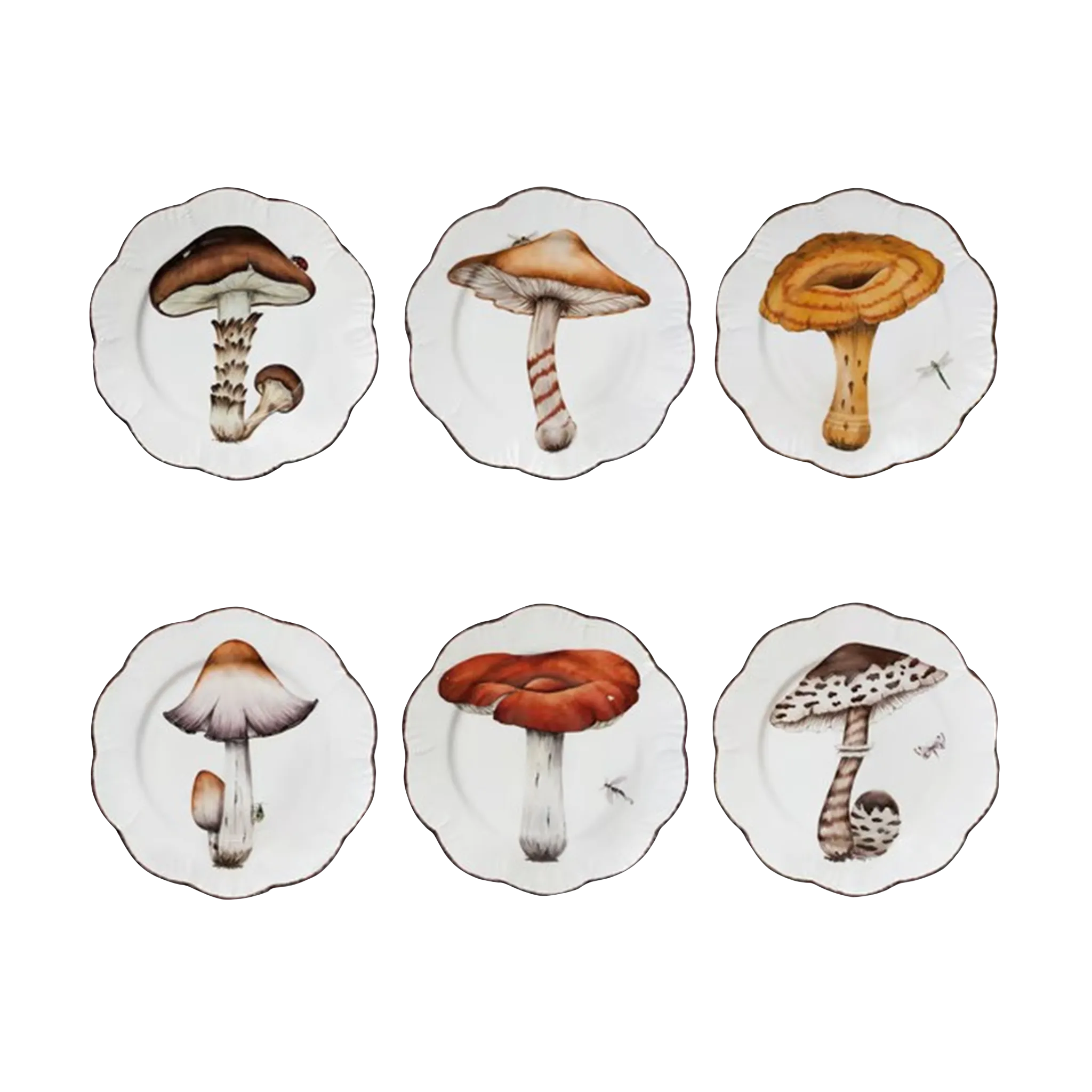 Set Prato Raso Cogumelos Pinto Paris.