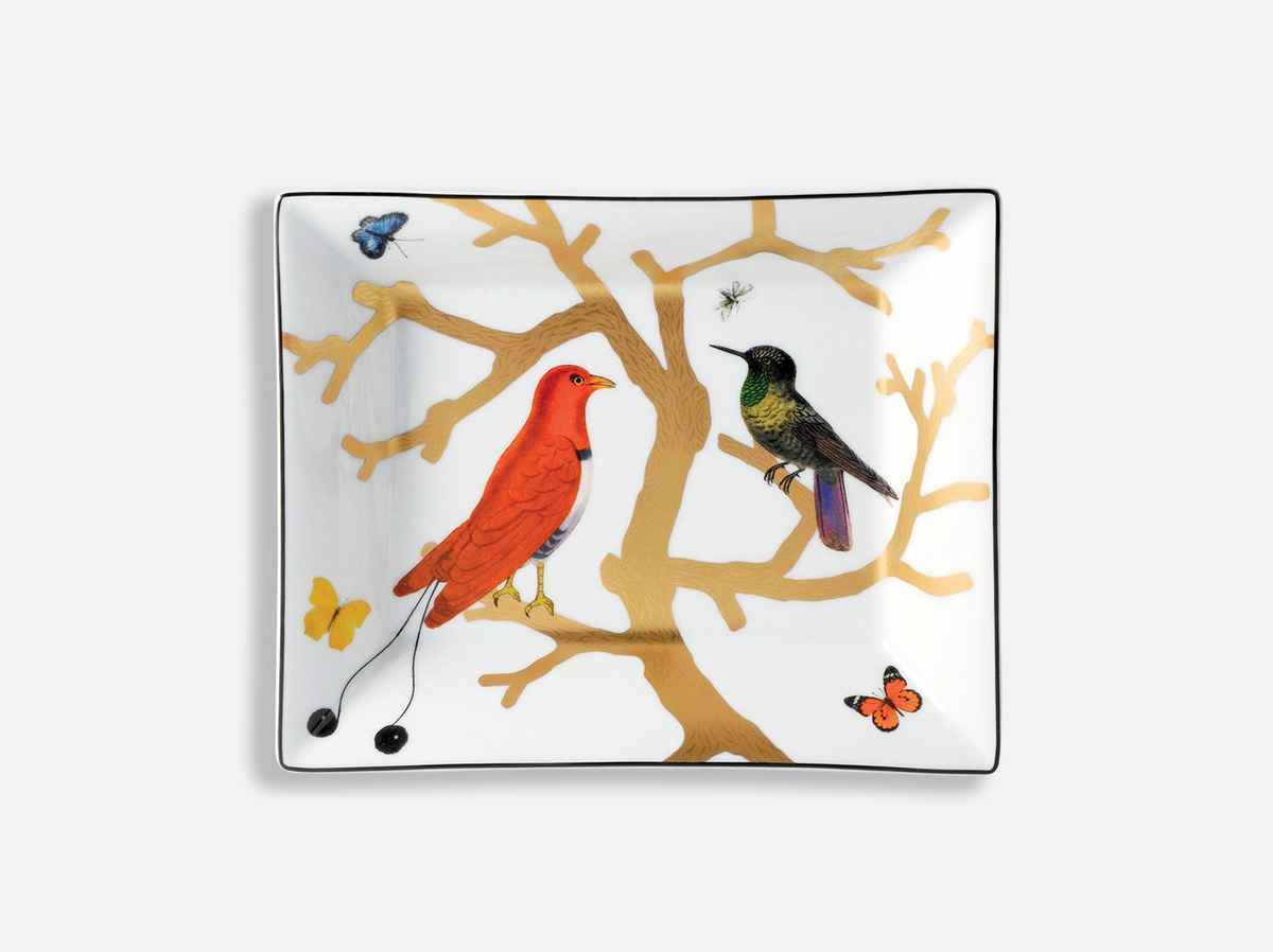 Vide Poche Aux Oiseaux