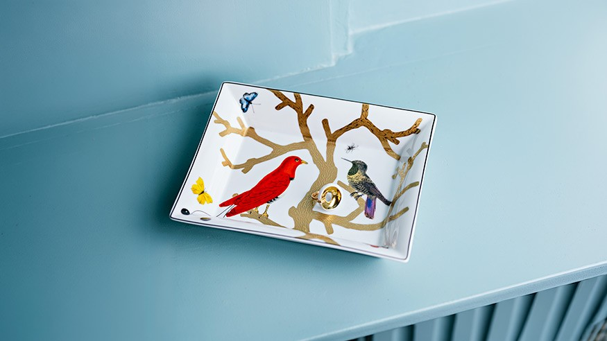 Vide Poche Aux Oiseaux