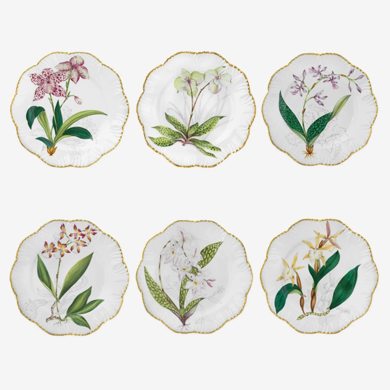 Set Prato Sobremesa Orquídeas Pinto Paris