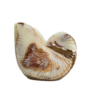 Vaso Shell Ônix M