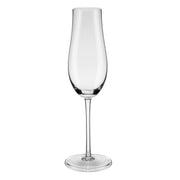 Set Taça Origem Espumante