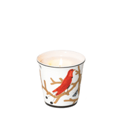 Vela Aux Oiseaux Bernardaud 200gr.
