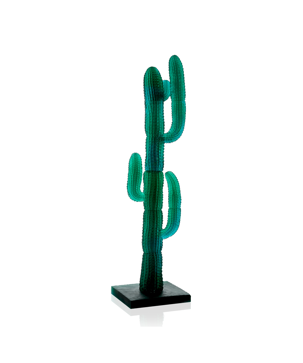 Jardin de Cactus Daum - EMILIO ROBBA