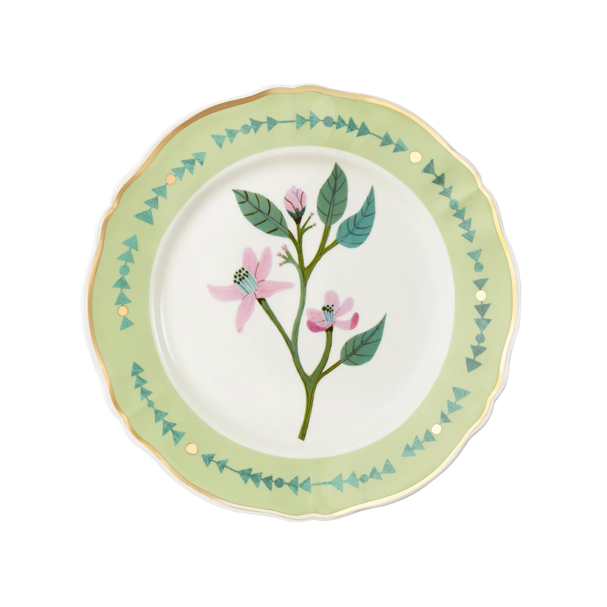 Prato Raso Botanik Verde.
