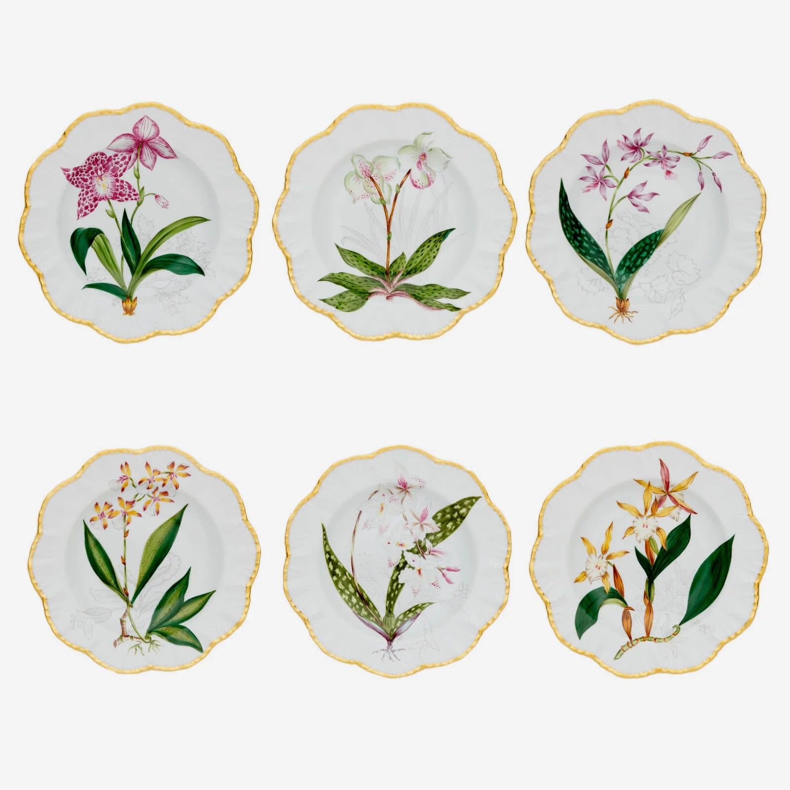 Set Prato Fundo Orquídeas Pinto Paris