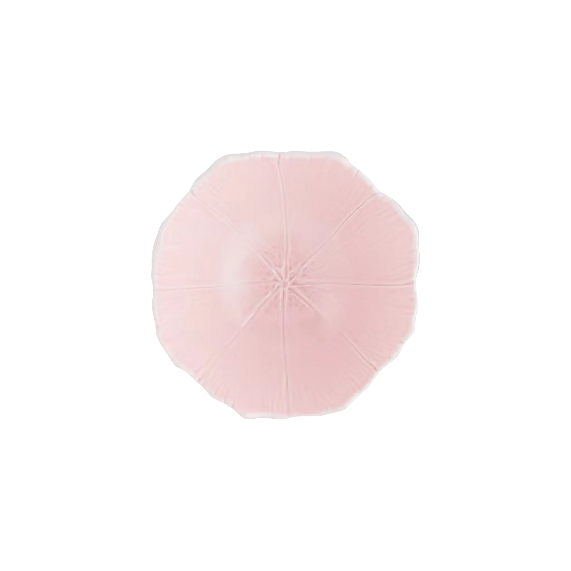 Set 2 Bowls Blossom Rosa Aquazzura.