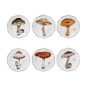 Set Prato Raso Cogumelos Pinto Paris.