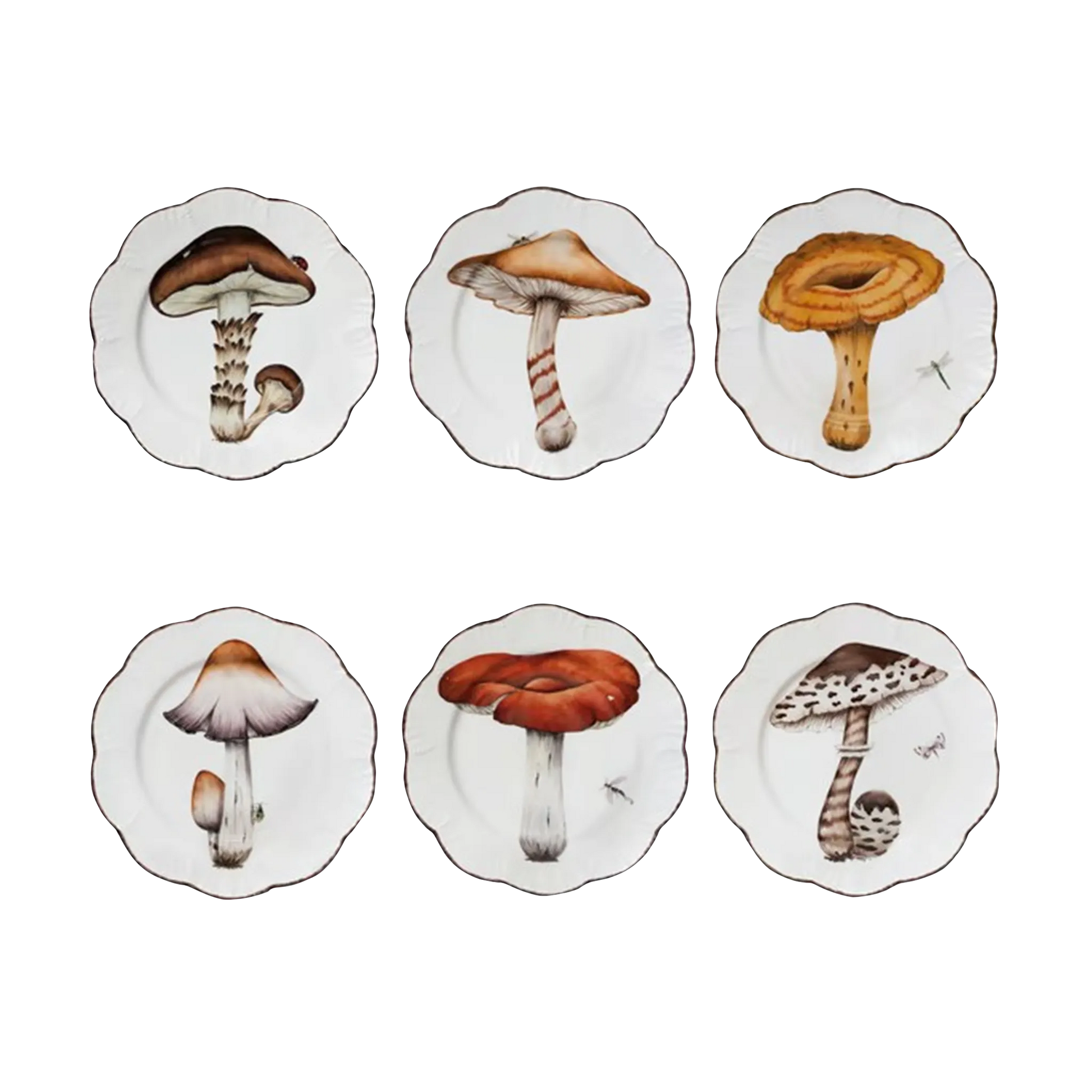 Set Prato Raso Cogumelos Pinto Paris.